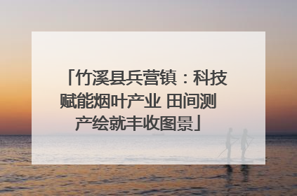 竹溪县兵营镇：科技赋能烟叶产业 田间测产绘就丰收图景