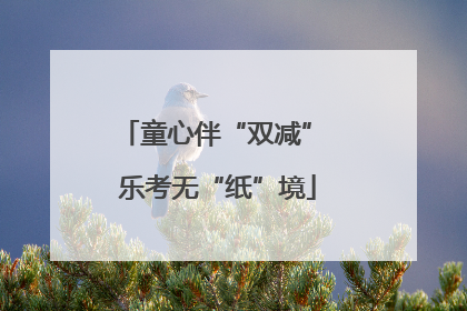 童心伴“双减” 乐考无“纸”境