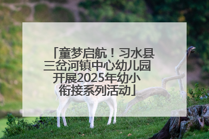 童梦启航！习水县三岔河镇中心幼儿园开展2025年幼小衔接系列活动