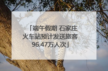端午假期 石家庄火车站预计发送旅客96.47万人次