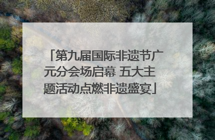 第九届国际非遗节广元分会场启幕 五大主题活动点燃非遗盛宴
