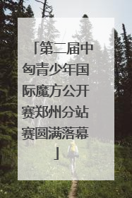 第二届中匈青少年国际魔方公开赛郑州分站赛圆满落幕