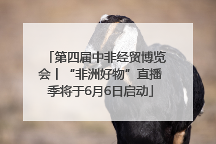 第四届中非经贸博览会丨“非洲好物”直播季将于6月6日启动