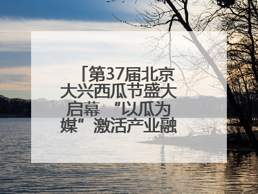第37届北京大兴西瓜节盛大启幕 “以瓜为媒”激活产业融合发展新动能