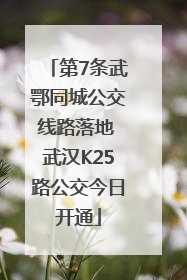 第7条武鄂同城公交线路落地 武汉K25路公交今日开通