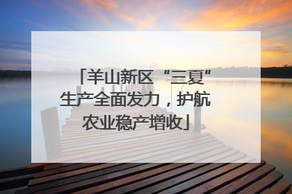 羊山新区“三夏”生产全面发力，护航农业稳产增收