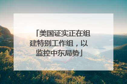 美国证实正在组建特别工作组，以监控中东局势