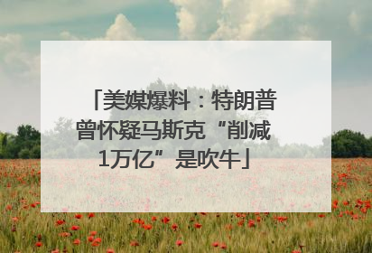 美媒爆料：特朗普曾怀疑马斯克“削减1万亿”是吹牛