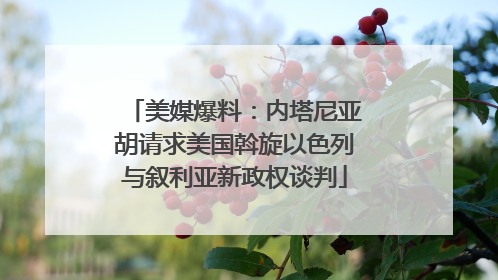 美媒爆料：内塔尼亚胡请求美国斡旋以色列与叙利亚新政权谈判