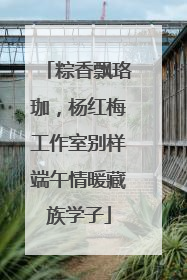 粽香飘珞珈，杨红梅工作室别样端午情暖藏族学子