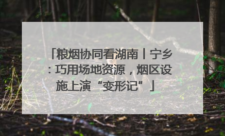 粮烟协同看湖南丨宁乡：巧用场地资源，烟区设施上演“变形记”