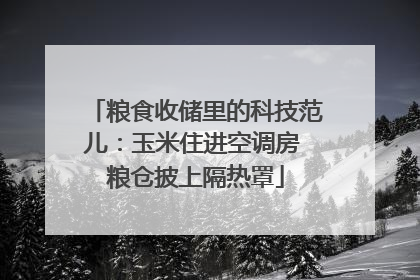 粮食收储里的科技范儿：玉米住进空调房 粮仓披上隔热罩