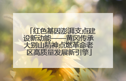 红色基因澎湃支点建设新动能——黄冈传承大别山精神点燃革命老区高质量发展新引擎