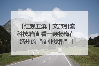 红观五溪｜文旅引流 科技增值 看一颗杨梅在靖州的“商业觉醒”
