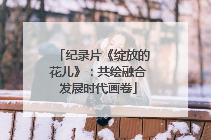 纪录片《绽放的花儿》：共绘融合发展时代画卷