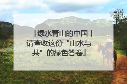 绿水青山的中国丨请查收这份“山水与共”的绿色答卷