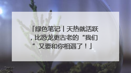 绿色笔记丨天热就活跃，比恐龙更古老的“我们”又要和你相遇了！