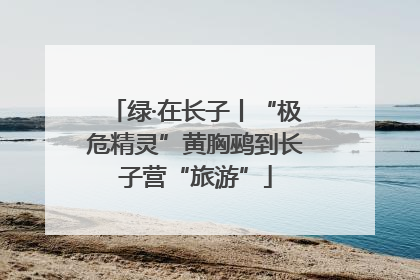 绿·在长子丨“极危精灵”黄胸鹀到长子营“旅游”