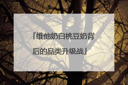 维他奶白桃豆奶背后的品类升级战