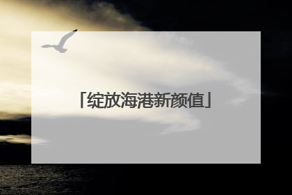 绽放海港新颜值