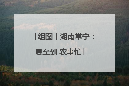 组图丨湖南常宁：夏至到 农事忙