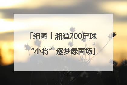 组图丨湘潭700足球“小将”逐梦绿茵场