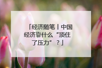 经济随笔丨中国经济靠什么“顶住了压力”？