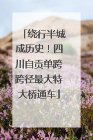 绕行半城成历史！四川自贡单跨跨径最大特大桥通车