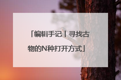 编辑手记丨寻找古物的N种打开方式