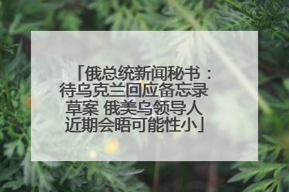 俄总统新闻秘书：待乌克兰回应备忘录草案 俄美乌领导人近期会晤可能性小