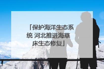 保护海洋生态系统 河北推进海草床生态修复