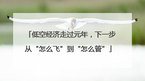 低空经济走过元年，下一步从“怎么飞”到“怎么管”
