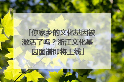 你家乡的文化基因被激活了吗？浙江文化基因图谱即将上线