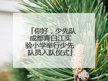 你好，少先队 成都青白江实验小学举行少先队员入队仪式