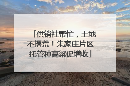 供销社帮忙，土地不撂荒！朱家庄片区托管种高粱促增收
