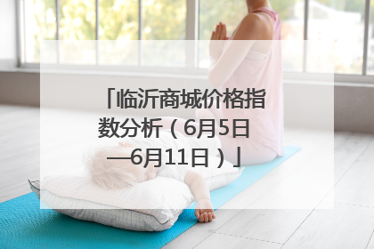 临沂商城价格指数分析（6月5日—6月11日）