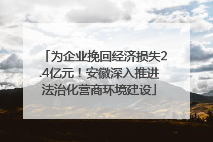 为企业挽回经济损失2.4亿元！安徽深入推进法治化营商环境建设