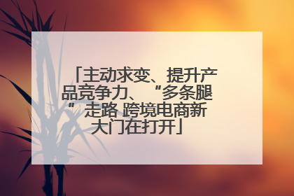 主动求变、提升产品竞争力、“多条腿”走路 跨境电商新大门在打开
