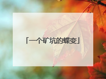 一个矿坑的蝶变