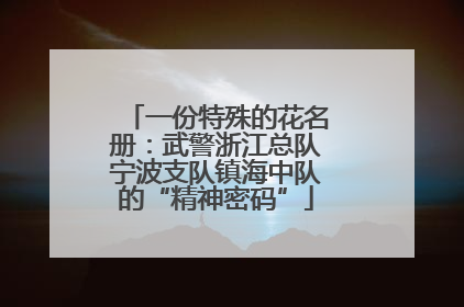 一份特殊的花名册：武警浙江总队宁波支队镇海中队的“精神密码”