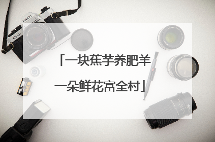一块蕉芋养肥羊 一朵鲜花富全村