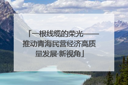 一根线缆的荣光——推动青海民营经济高质量发展·新视角