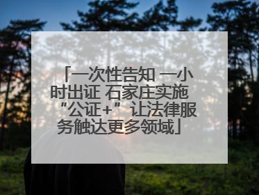 一次性告知 一小时出证 石家庄实施“公证+”让法律服务触达更多领域