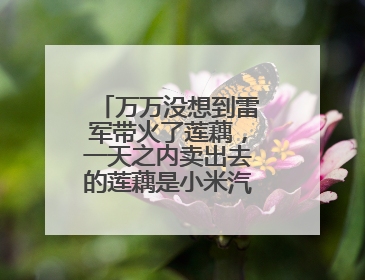 万万没想到雷军带火了莲藕，一天之内卖出去的莲藕是小米汽车的22倍