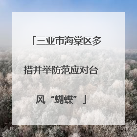 三亚市海棠区多措并举防范应对台风“蝴蝶”