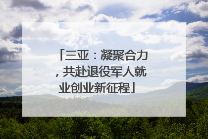 三亚：凝聚合力，共赴退役军人就业创业新征程