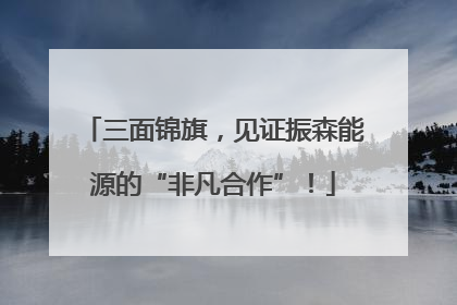 三面锦旗，见证振森能源的“非凡合作”！