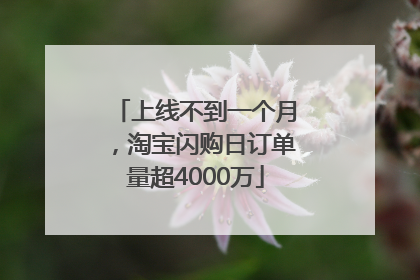 上线不到一个月，淘宝闪购日订单量超4000万
