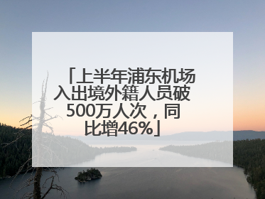 上半年浦东机场入出境外籍人员破500万人次，同比增46%