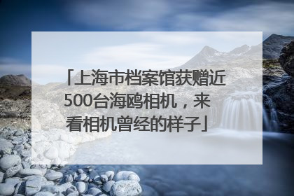 上海市档案馆获赠近500台海鸥相机，来看相机曾经的样子